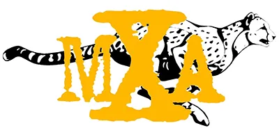 Malcolm X Academy Elementary School logo